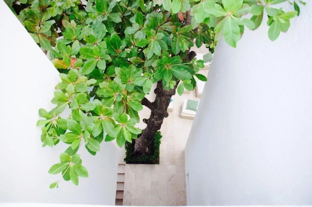 Casa Almendro Villa Cartagena